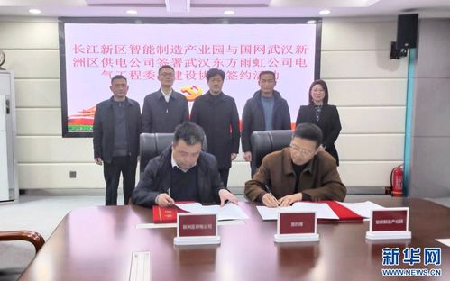 武漢市首個電氣工程委托建設項目在長江新區啟動實施